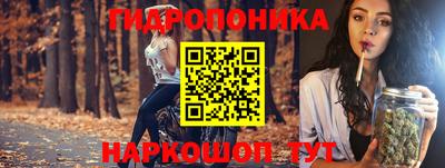 ешки Лесосибирск