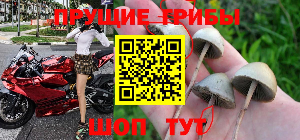 Галлюциногенные грибы мухоморы  Вход с VPN  Верхняя Пышма 